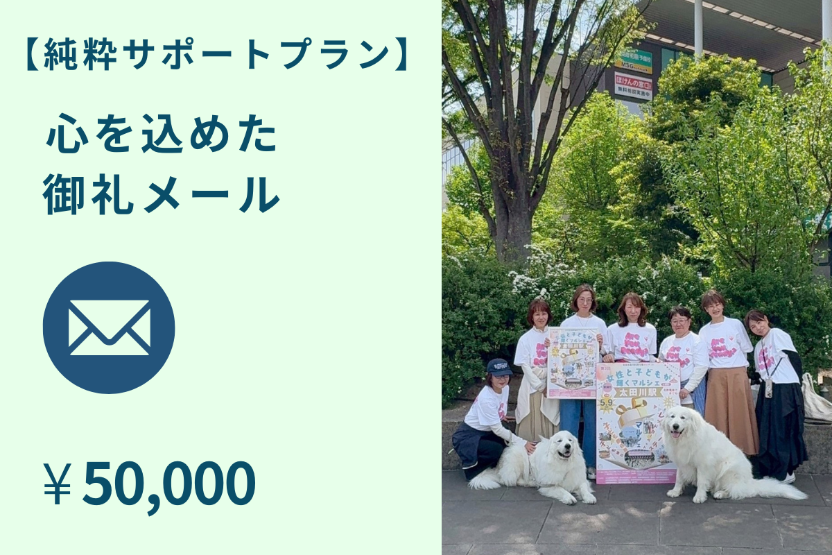 スポンサー級・神応援プラン
